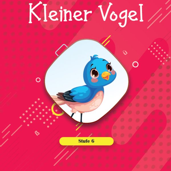 Book 6